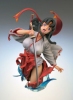 photo of Queen's Blade Chozo Collection Vol.2: Tomoe 1P Color