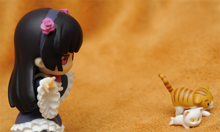 Kuroneko trying to catch two pusses