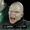 photo of Ikigai Lord Voldemort
