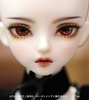 photo of Suigintou Cast Doll