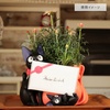 photo of Diorama Box Gift from Jiji